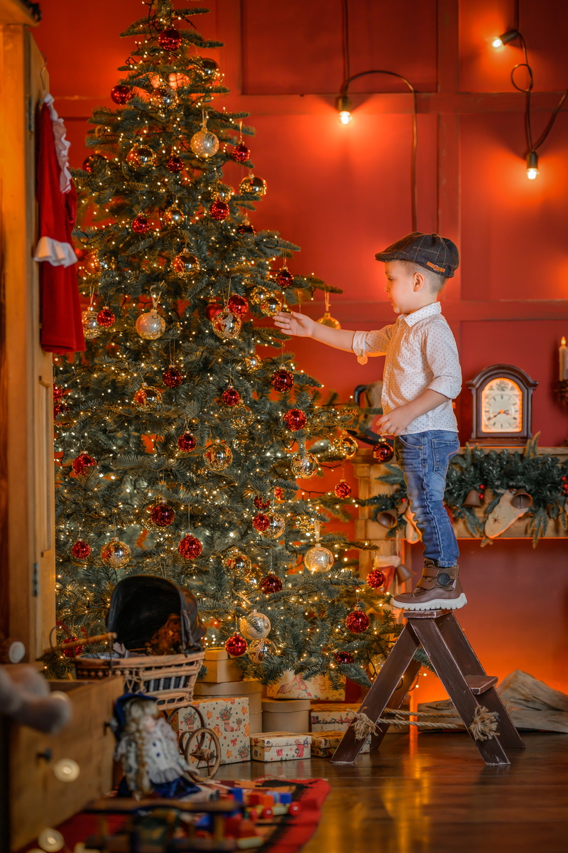 Novogodišnje fotografisanje Novi Sad