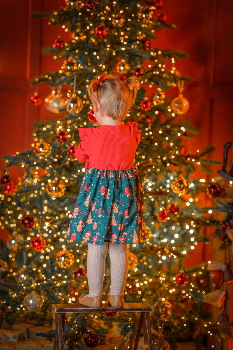 Novogodišnje slikanje sa deda mrazom