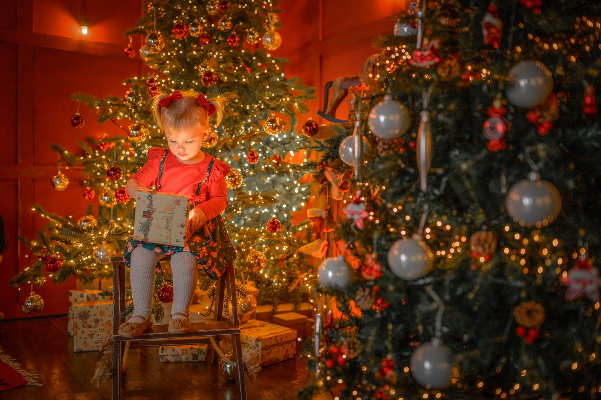 Novogodišnje fotke kućne