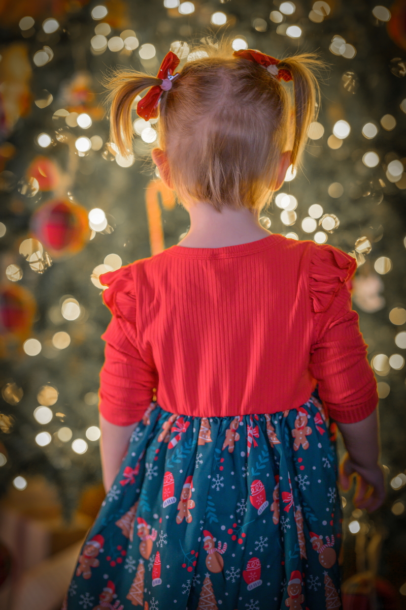 Novogodišnje fotografisanje studio