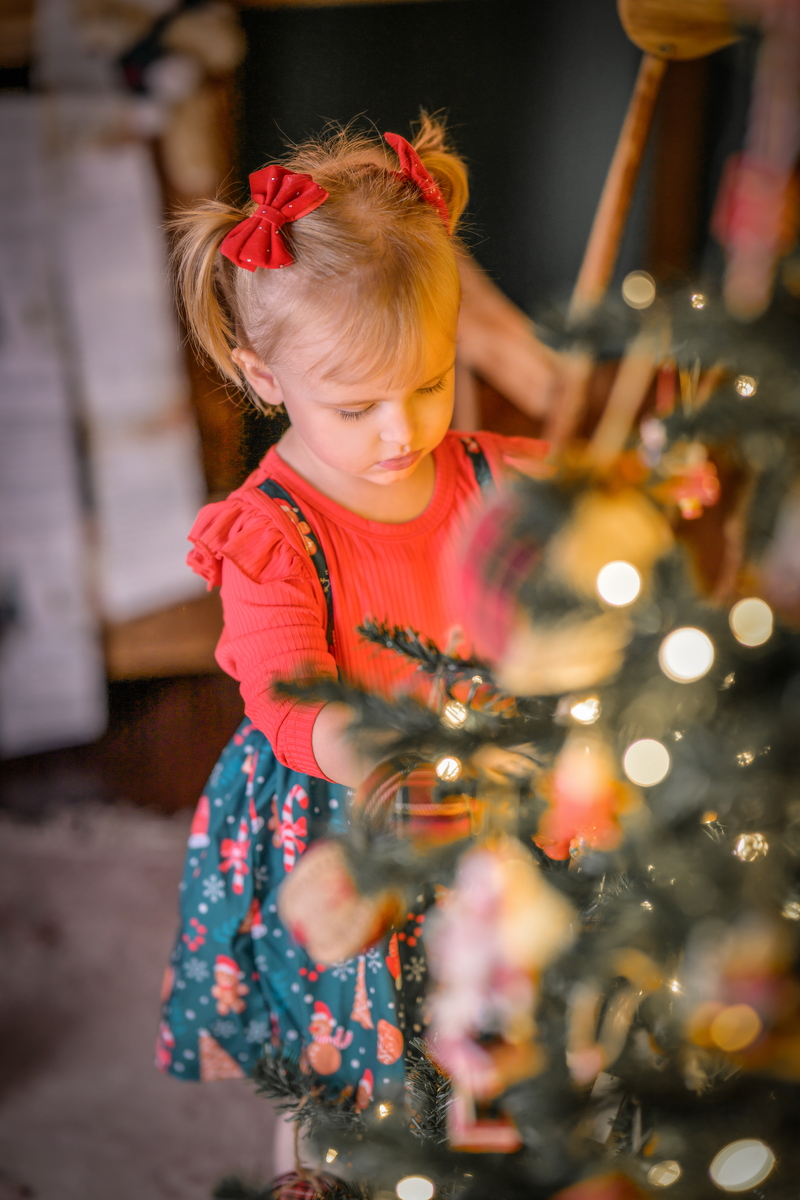 Novogodišnje slikanje sa deda mrazom